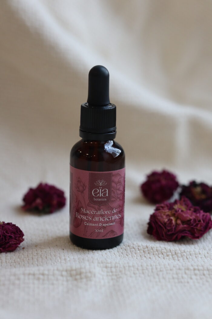 Macéraflore de Rose